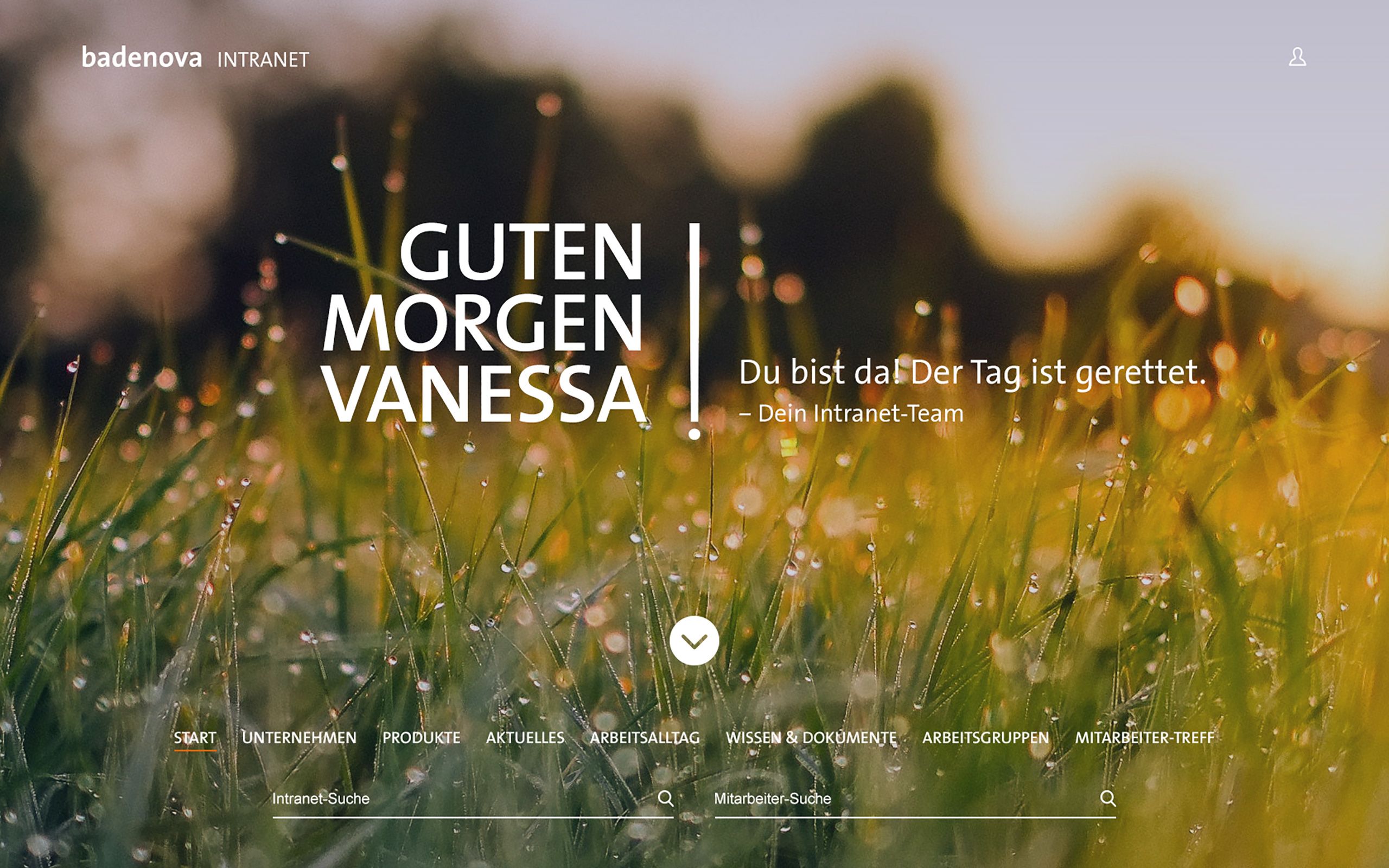 Relaunch individuelles und interaktives Intranet badenova