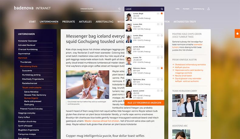 Case Study Mitarbeitersuche im Intranet