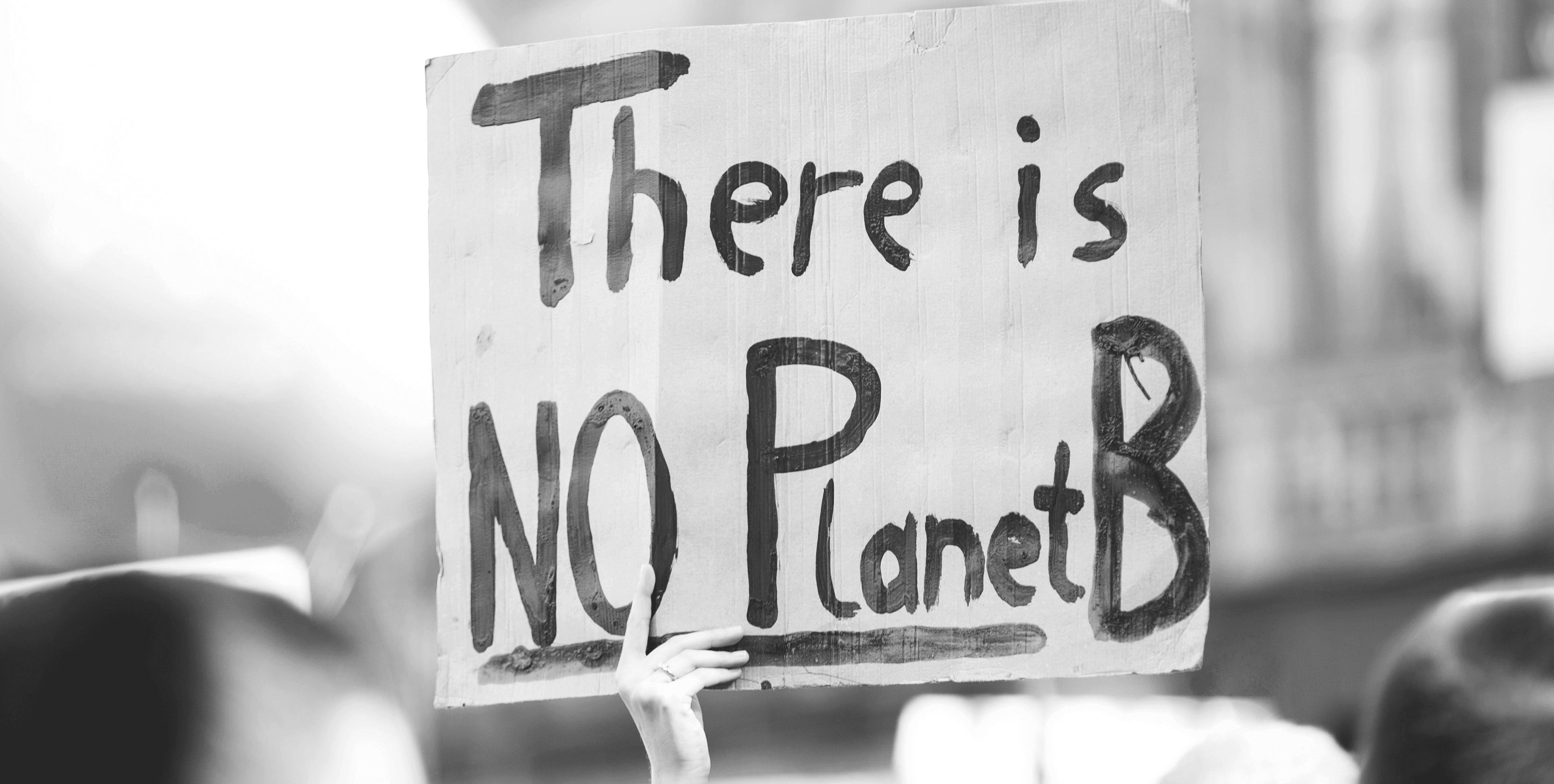 Protestplakat mit Aufschrift There is no Planet B